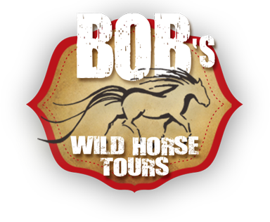 Bob's Wild Horse Tours