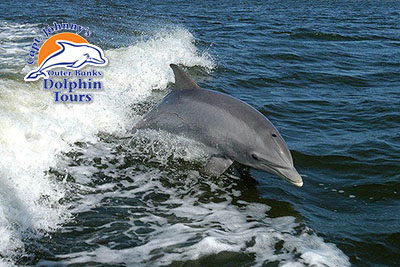 Captain Johnny's Dolphin Tours