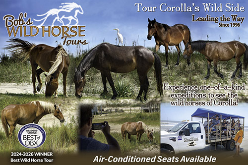 Bob's Wild Horse Adventure Tours