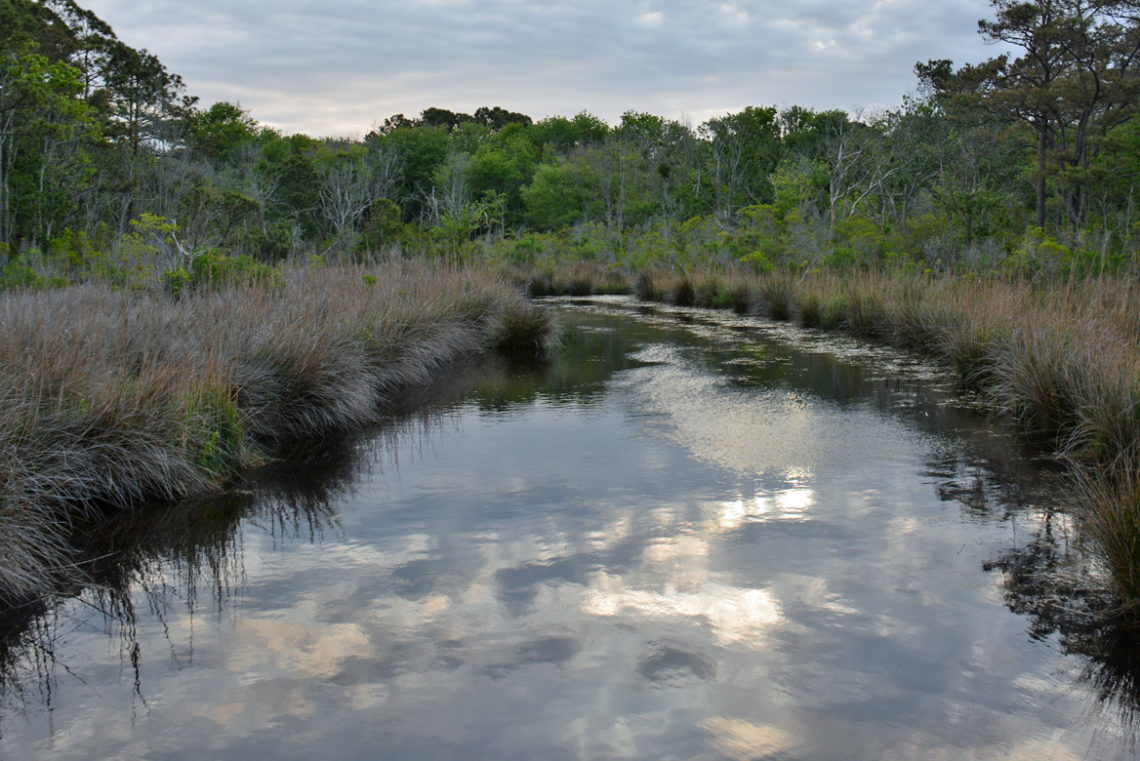 Hunting in the Outer Banks - OuterBanks.com