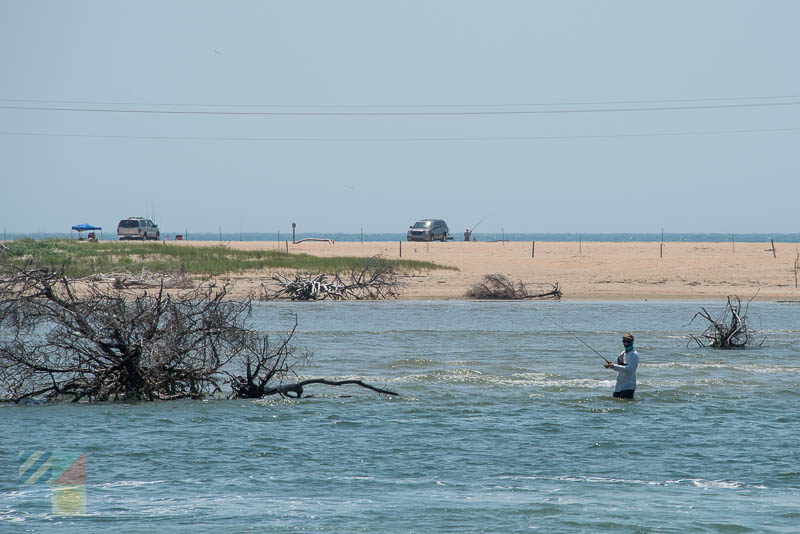 Surf fishing near Hatteras Village, NC