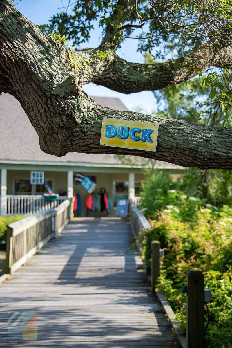 Duck town boardwalk with DUCK sign on low branch