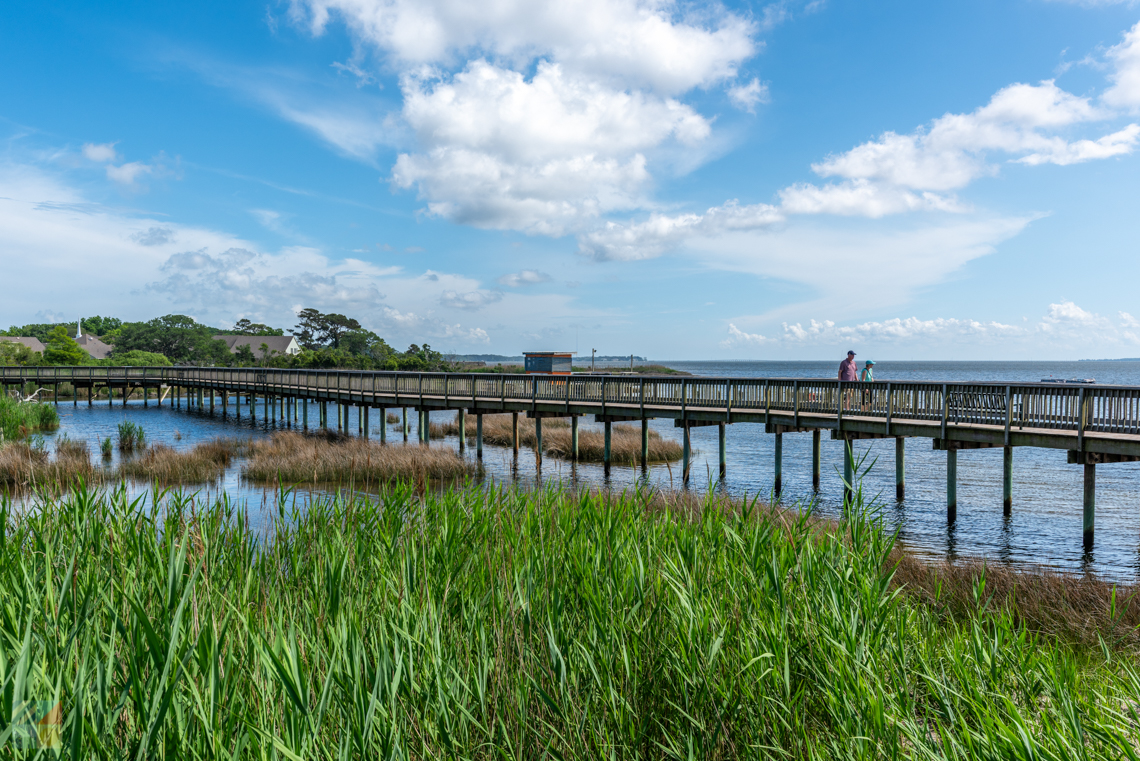 Duck boardwalk NC