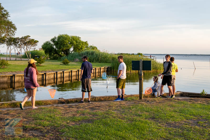 Crabbing in Historic Corolla Park