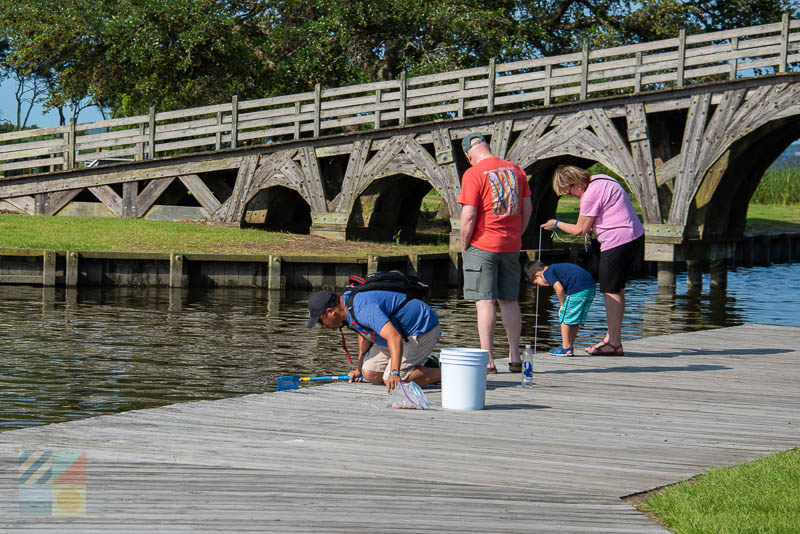 Crabbing in Historic Corolla Park