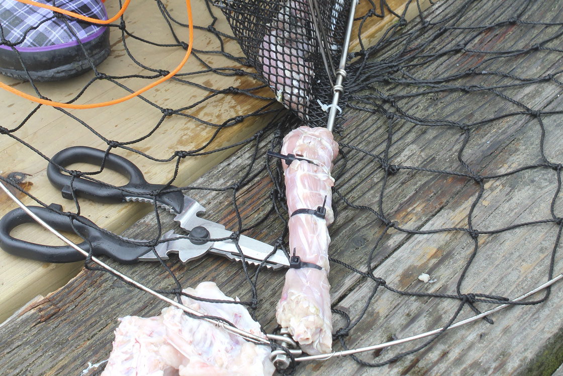 Crabbing - OuterBanks.com