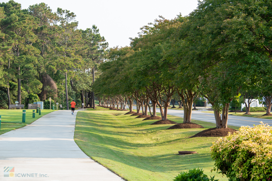 A multi use path in Corolla NC