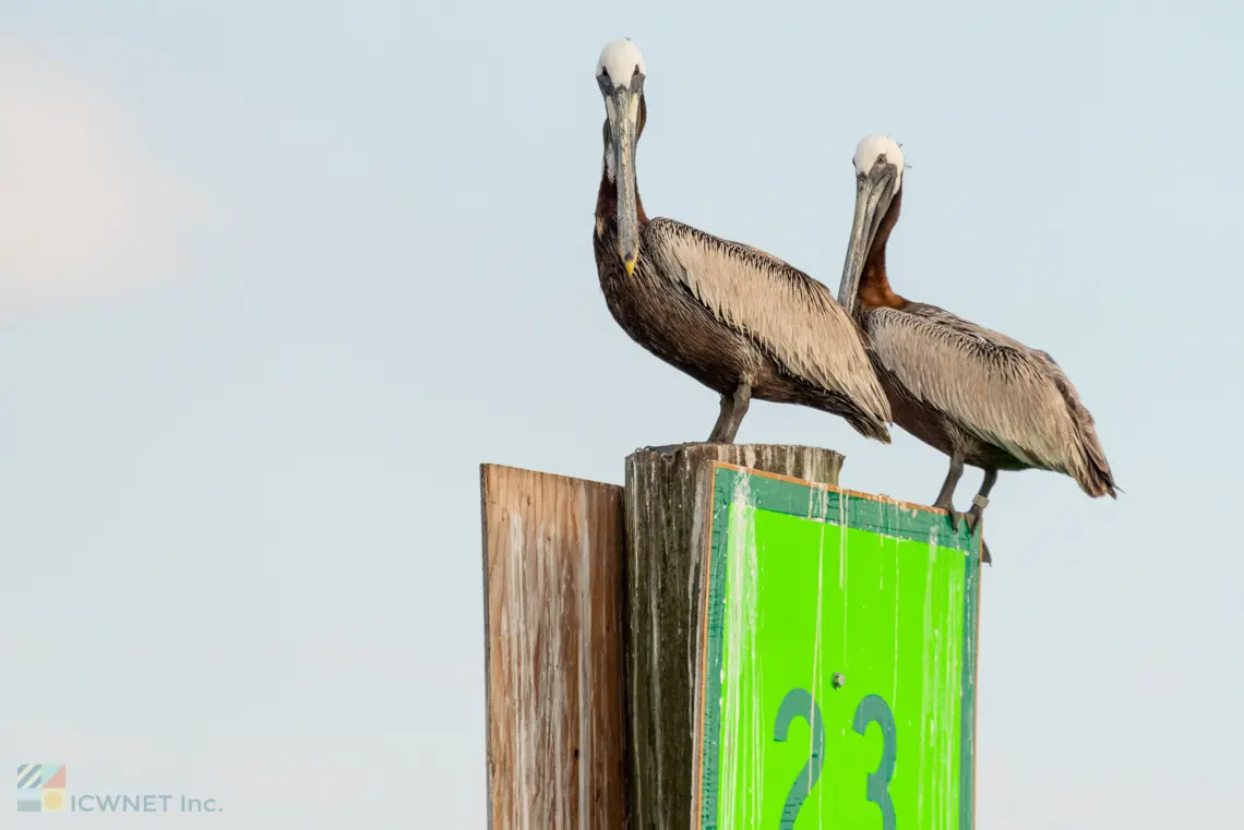 Contact Us - OuterBanks.com