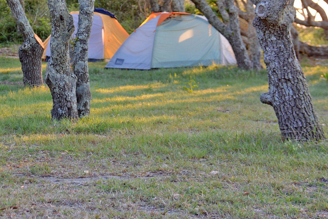 Camping on Portsmouth Island: An Adventure Worth Taking.
