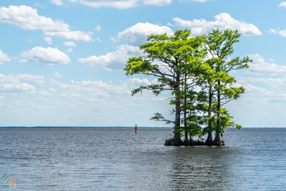 Edenton NC