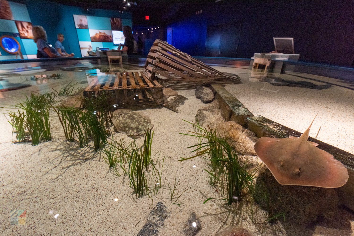 NC Aquarium on Roanoke Island