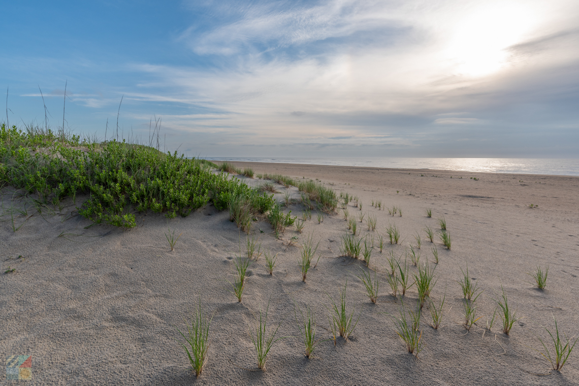 Waves NC Rental Homes