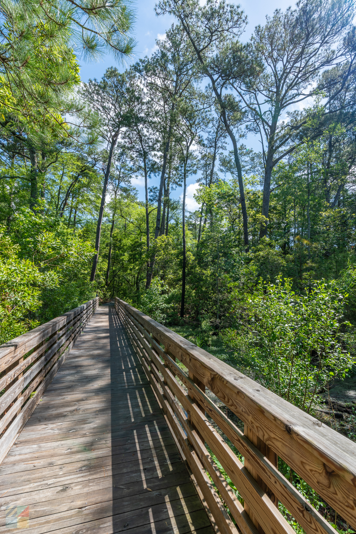Kitty Hawk WoodsC