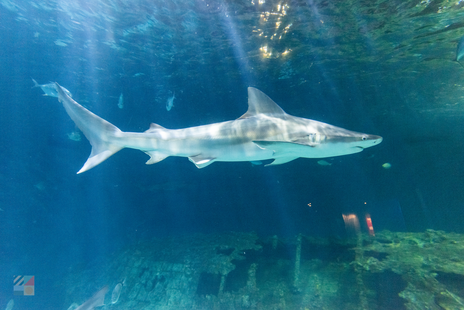 NC Aquarium on Roanoke Island