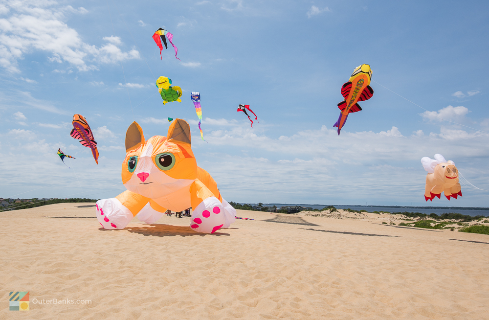 Kites fly at Jockey's Ridge State Park