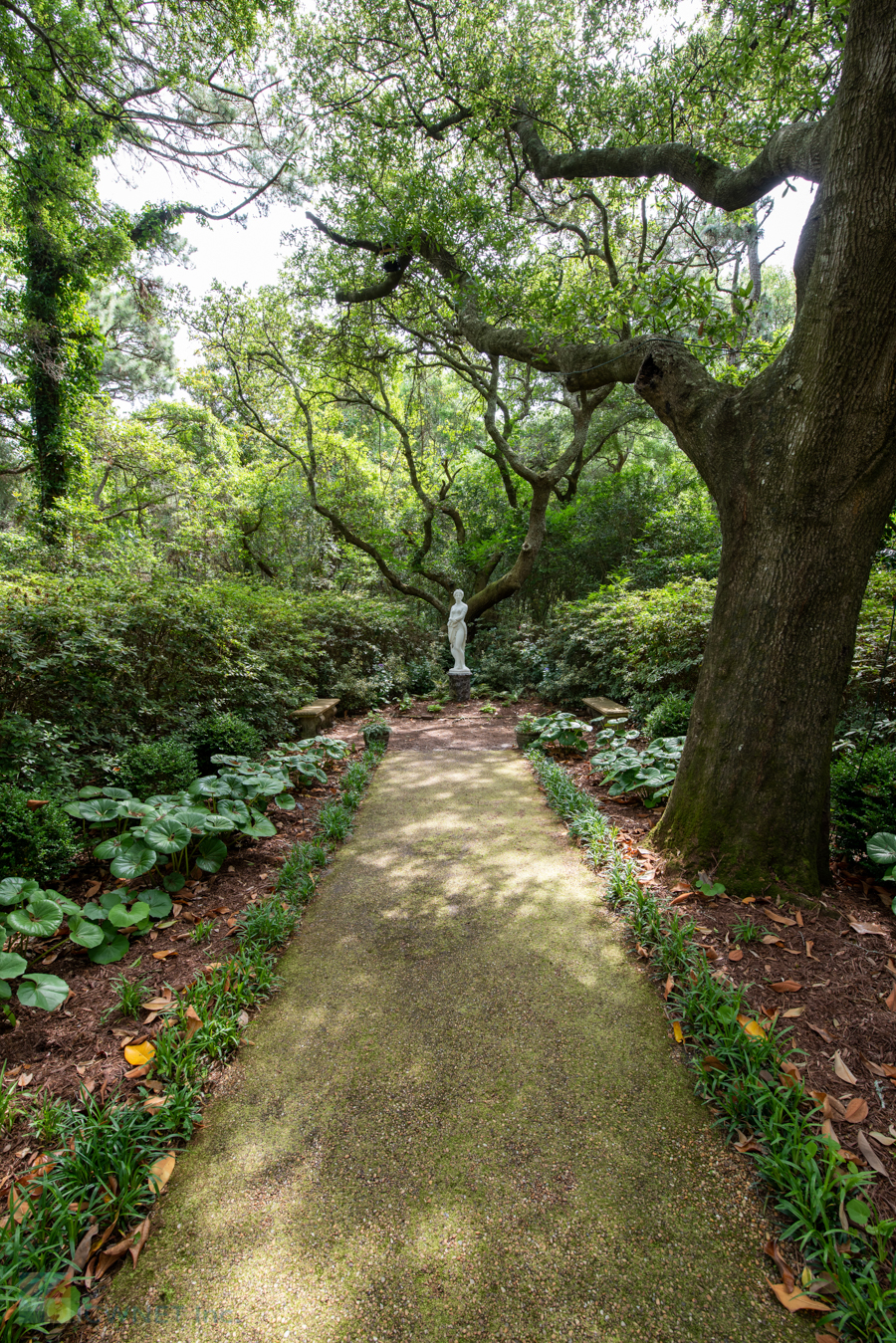 Elizabethan Gardens