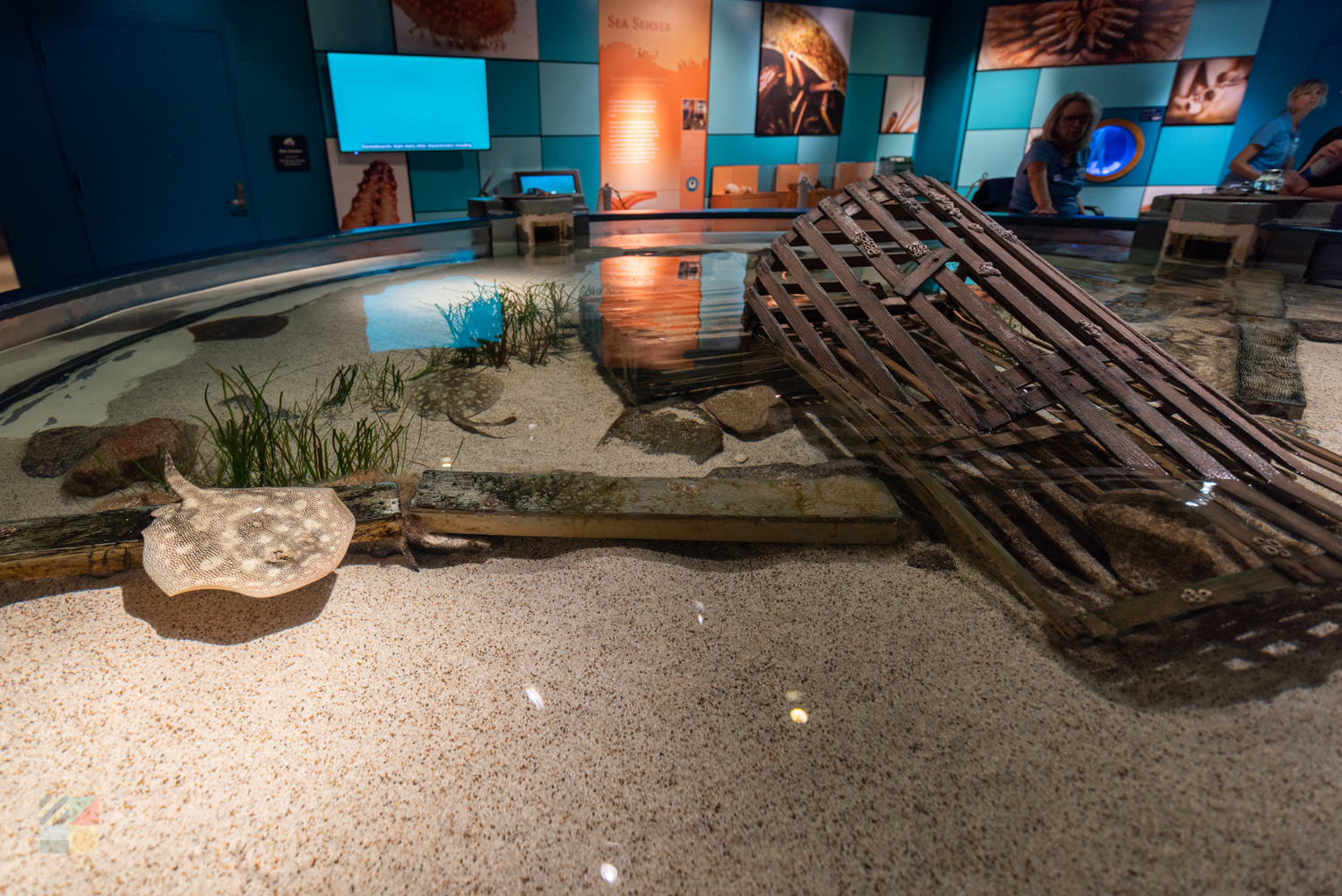 Roanoke Island Aquarium