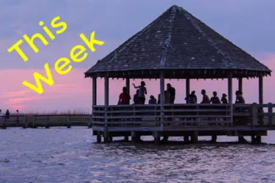 95 things to do this week: July 17th - July 23rd