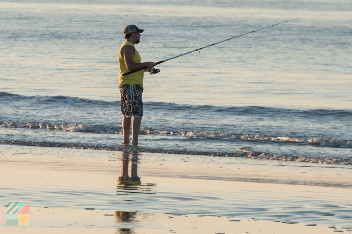 Surf Fishing Florida Season Chart