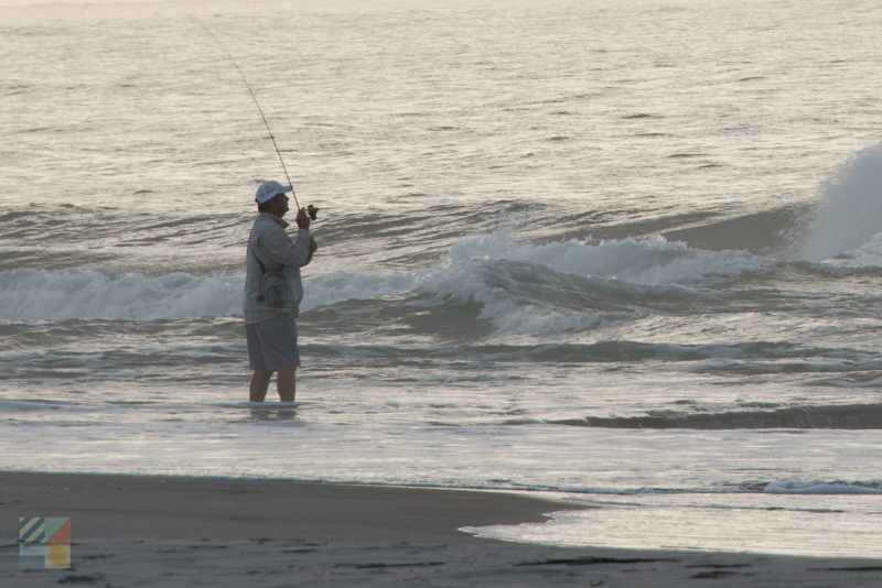 Surf Fishing Florida Season Chart