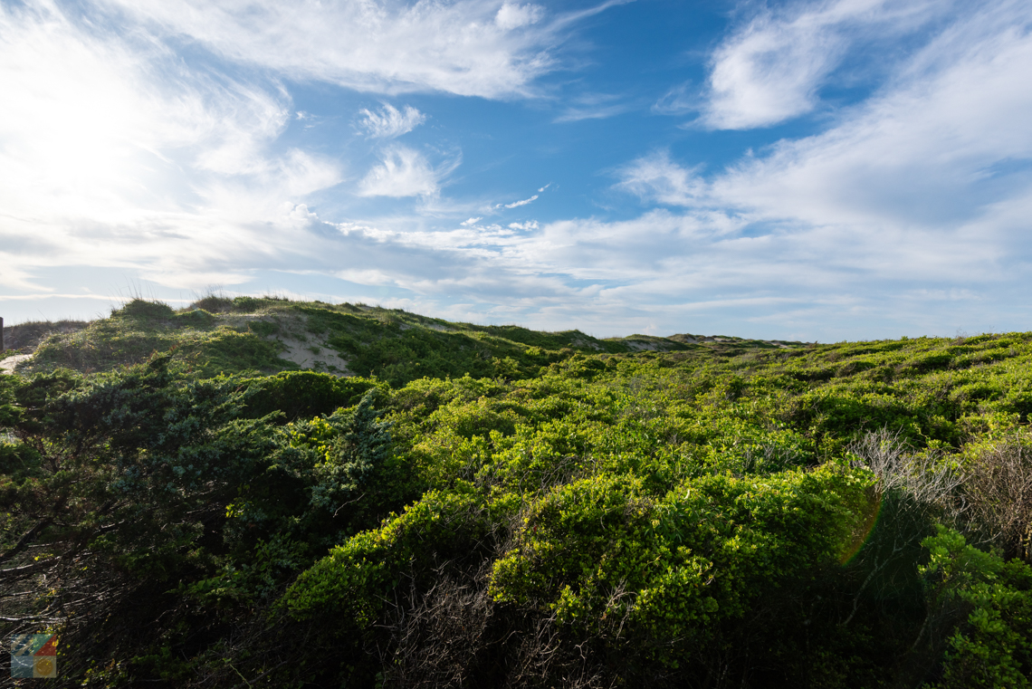 Coquina Beach on Bodie Island