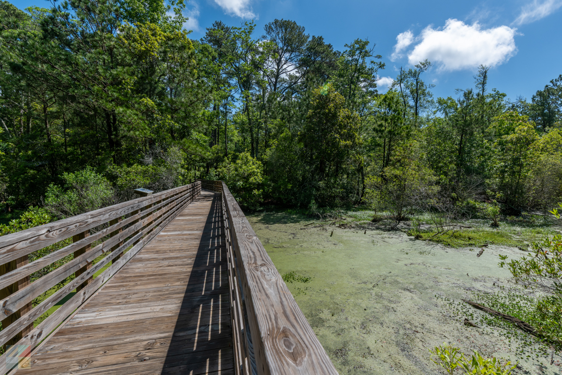 Kitty Hawk Woods