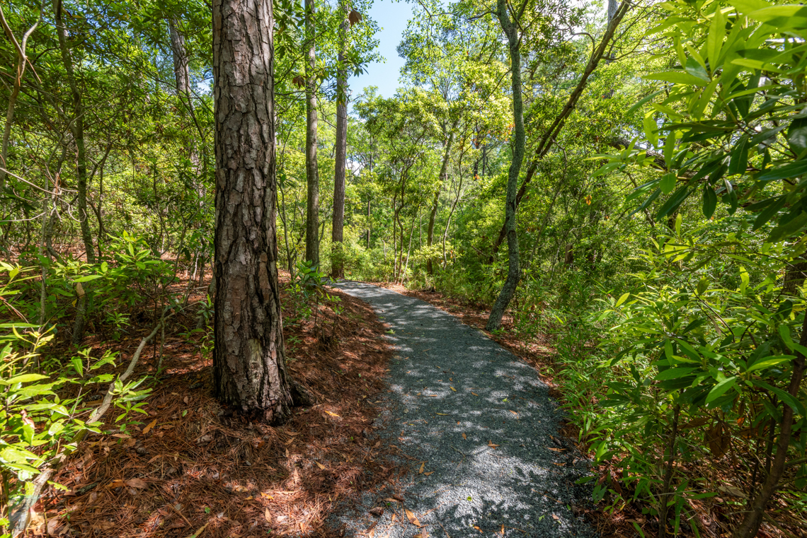 Kitty Hawk Woods