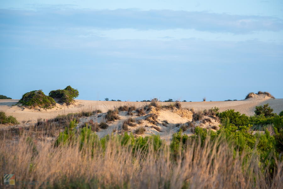 Jockeys Ridge State Park