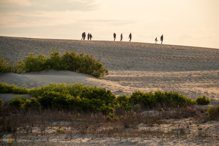 Jockey's Ridge State Park