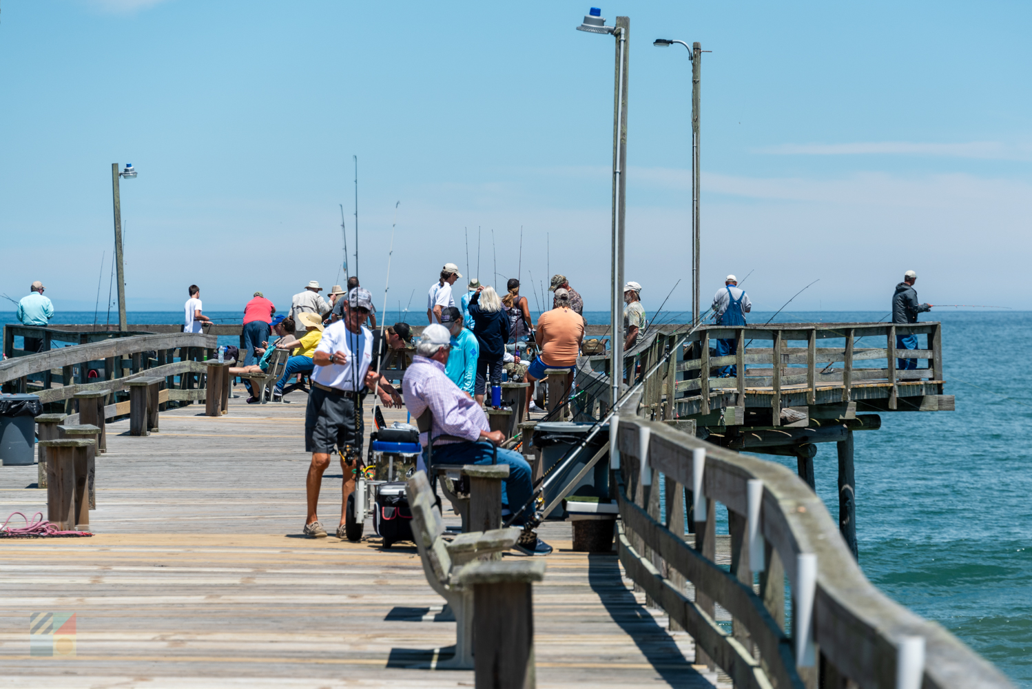 Fish Heads at Outer Banks Fishing Pier