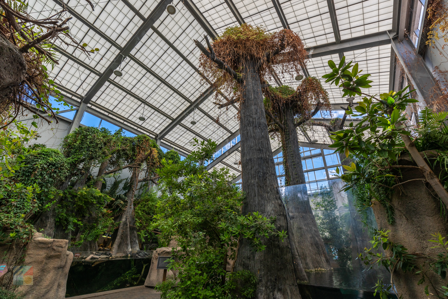 NC Aquarium on Roanoke Island