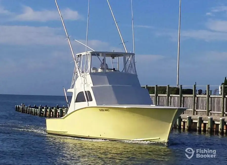 Sea Dream Offshore Charters charter image 4