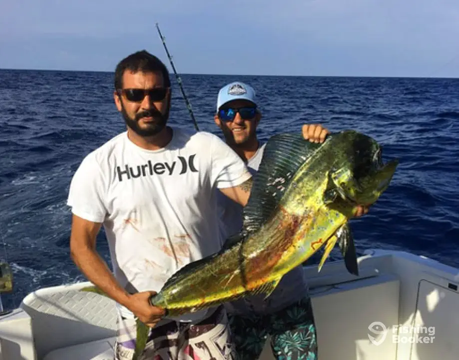 Uptick Charters – Duck