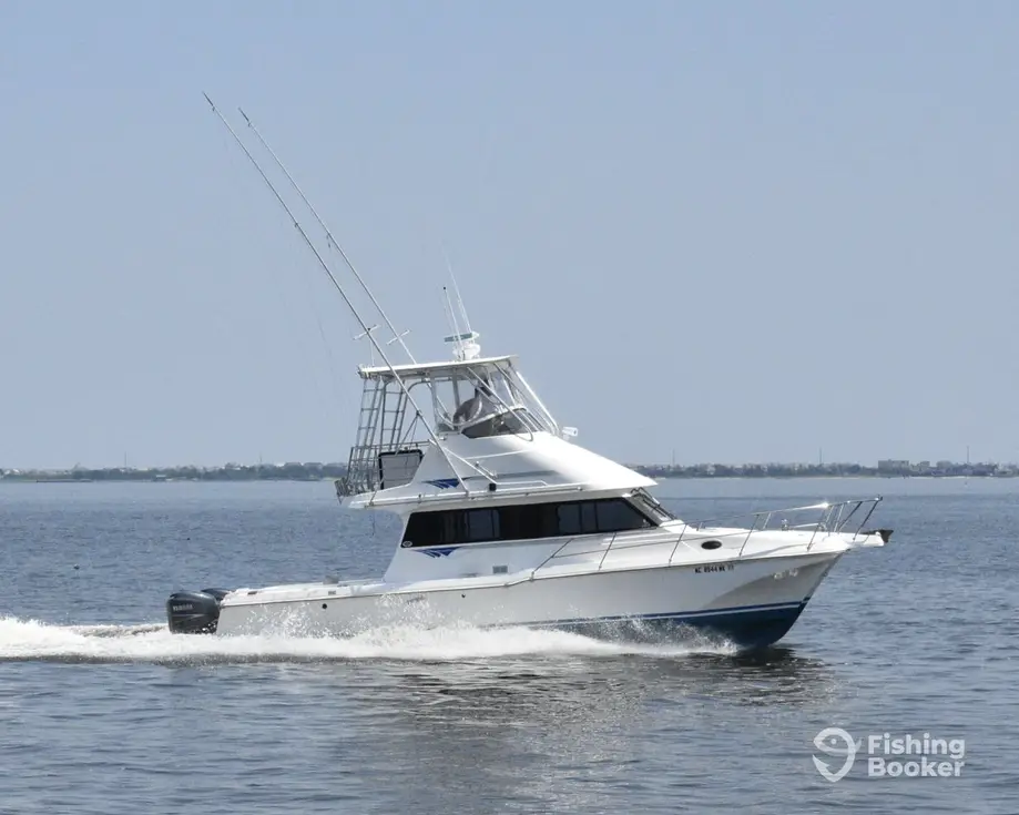 Uptick Charters – Duck charter image 2