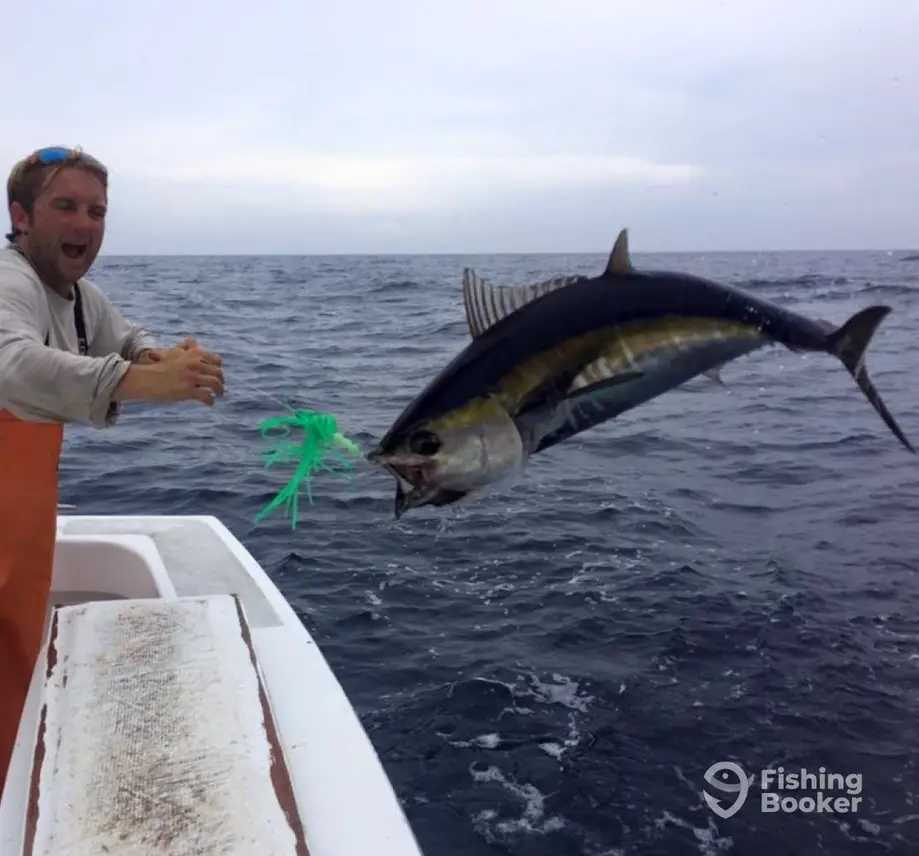 Uptick Charters – Duck charter image 5