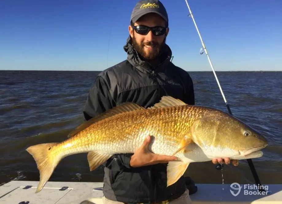 Fish Ocracoke Aboard The Free Ranger charter image 5