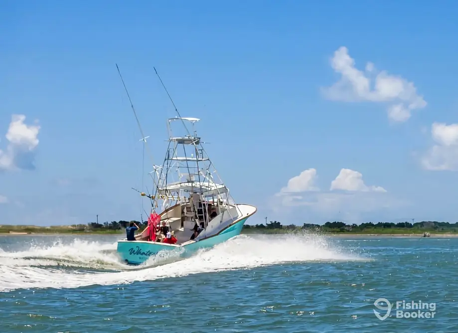 Whatever Sport Fishing