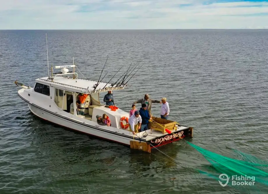 charter image 3