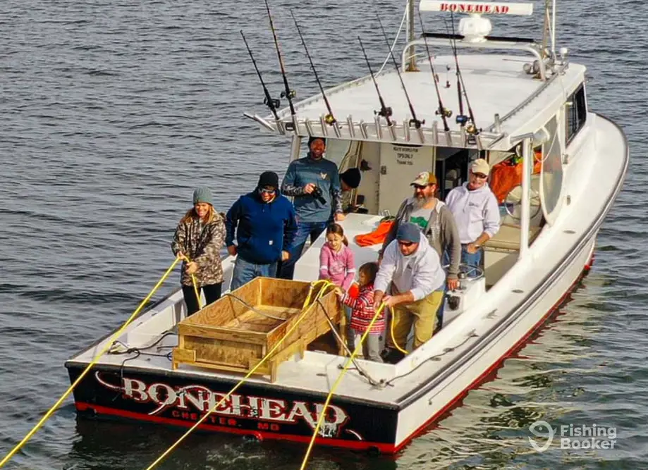 charter image 4