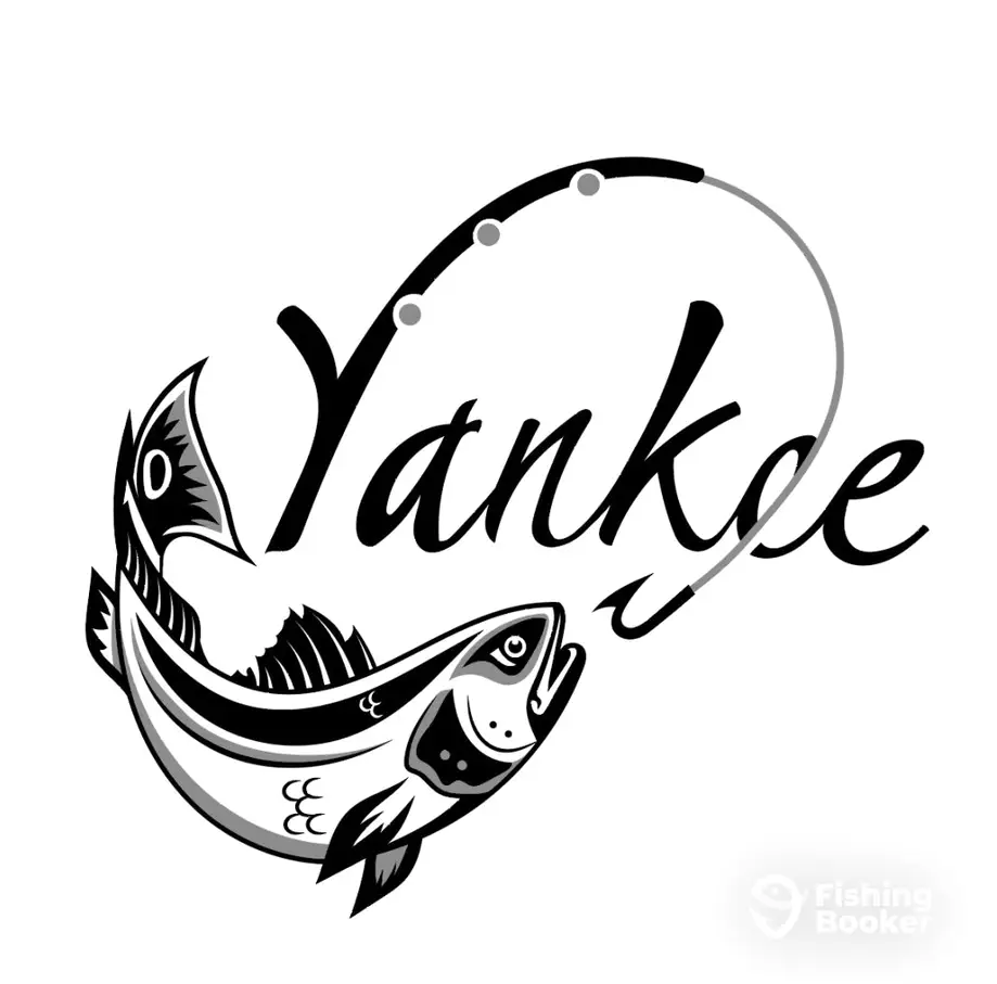 Yankee Sport Fishing charter image 6