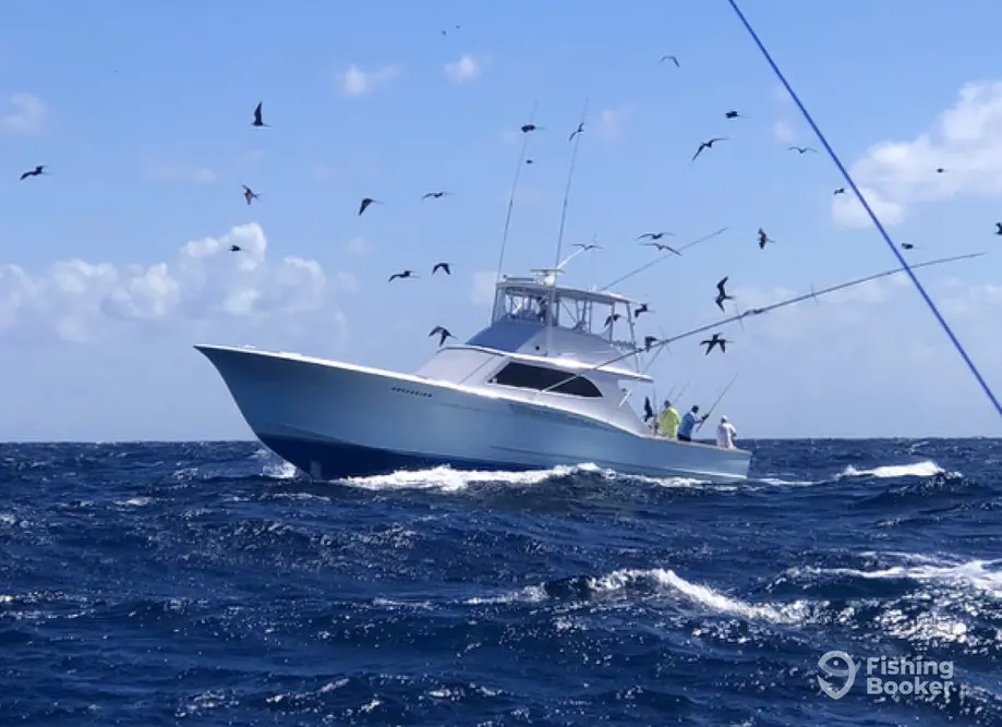 Obsession Charters, Inc charter image 3