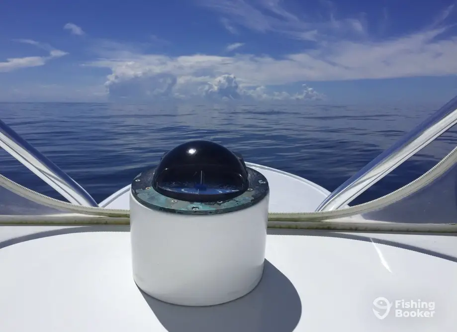 Fishin' Frenzy charter image 3