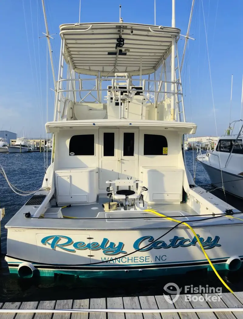 Reely Catchy Sportfishing- 53’ charter image 3