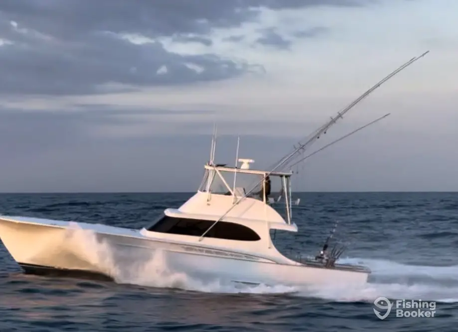 End Game Sportfishing