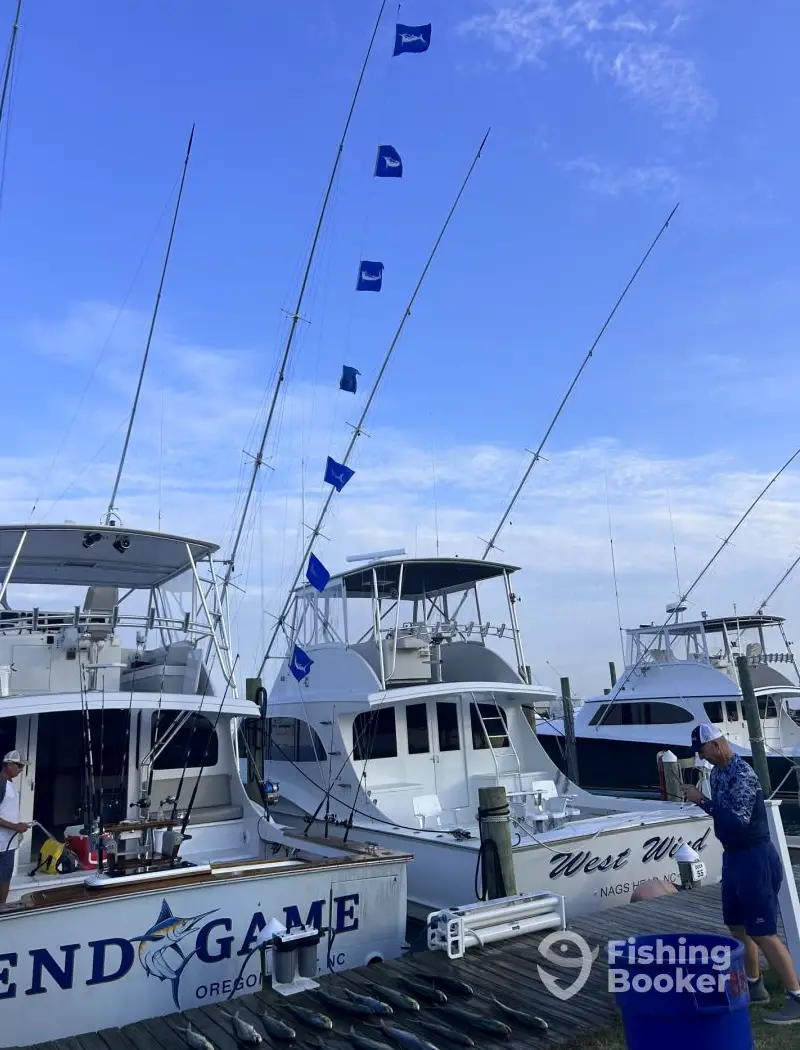 End Game Sportfishing charter image 2