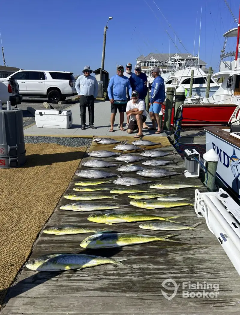 End Game Sportfishing charter image 3