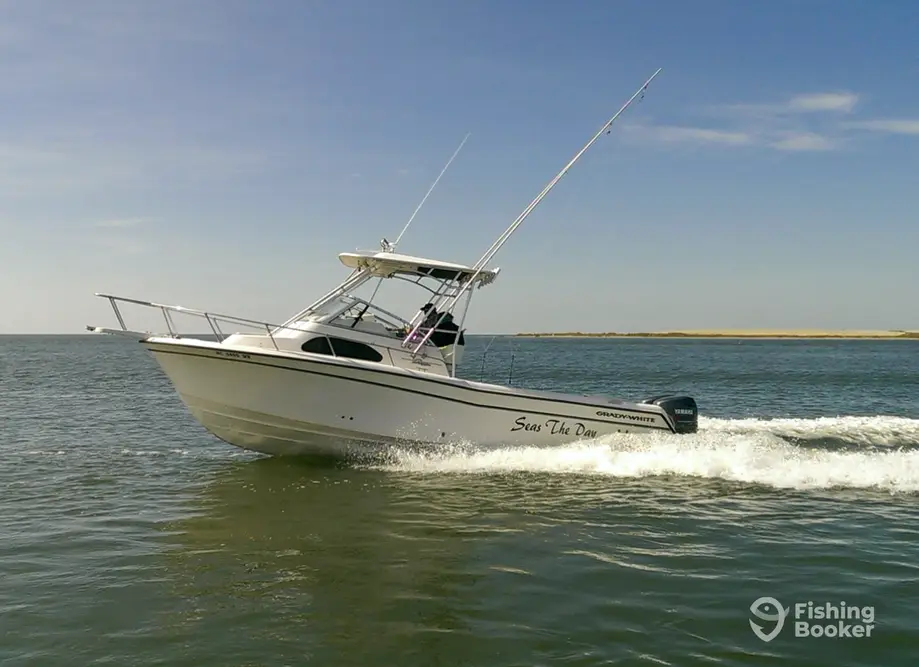 Seas The Day NC