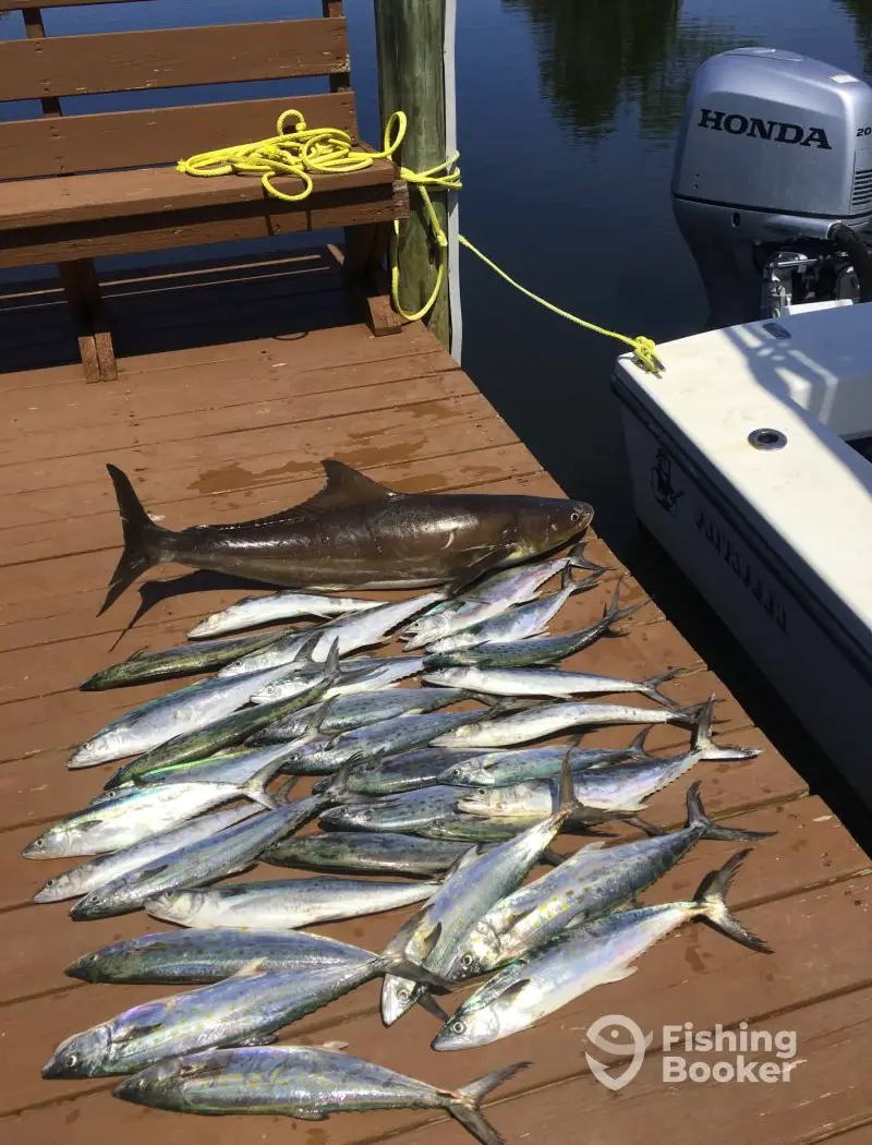 OBX Fishing Co, 