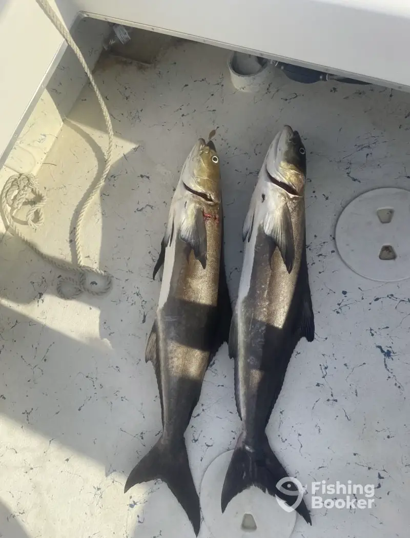 OBX Fishing Co, 