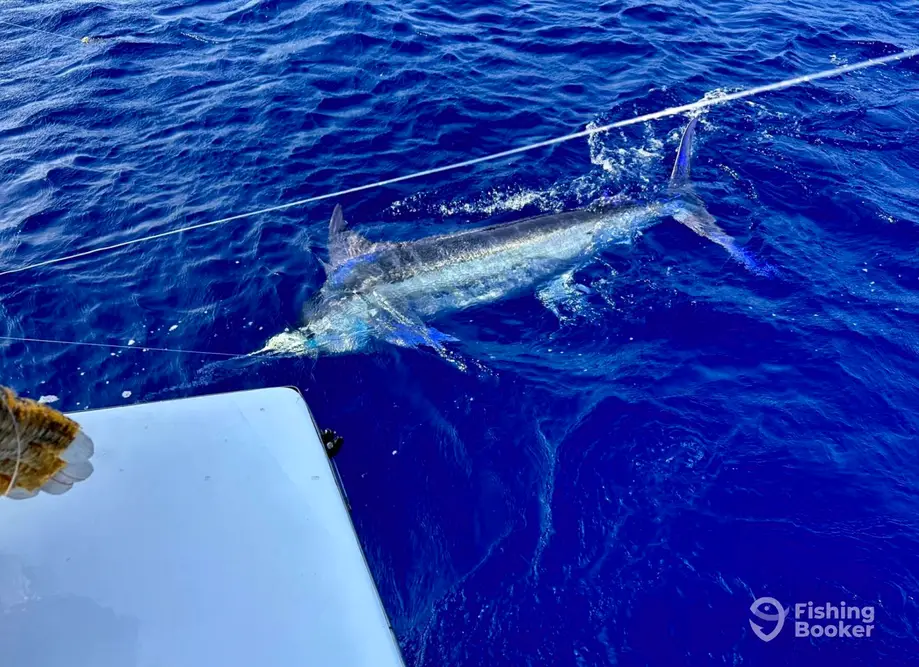 West Wind Charters charter image 3